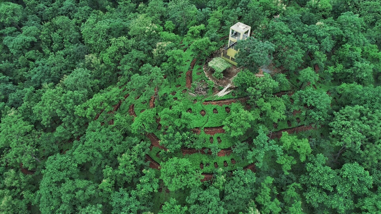 दुर्लभ जड़ी-बूटियों का खजाना