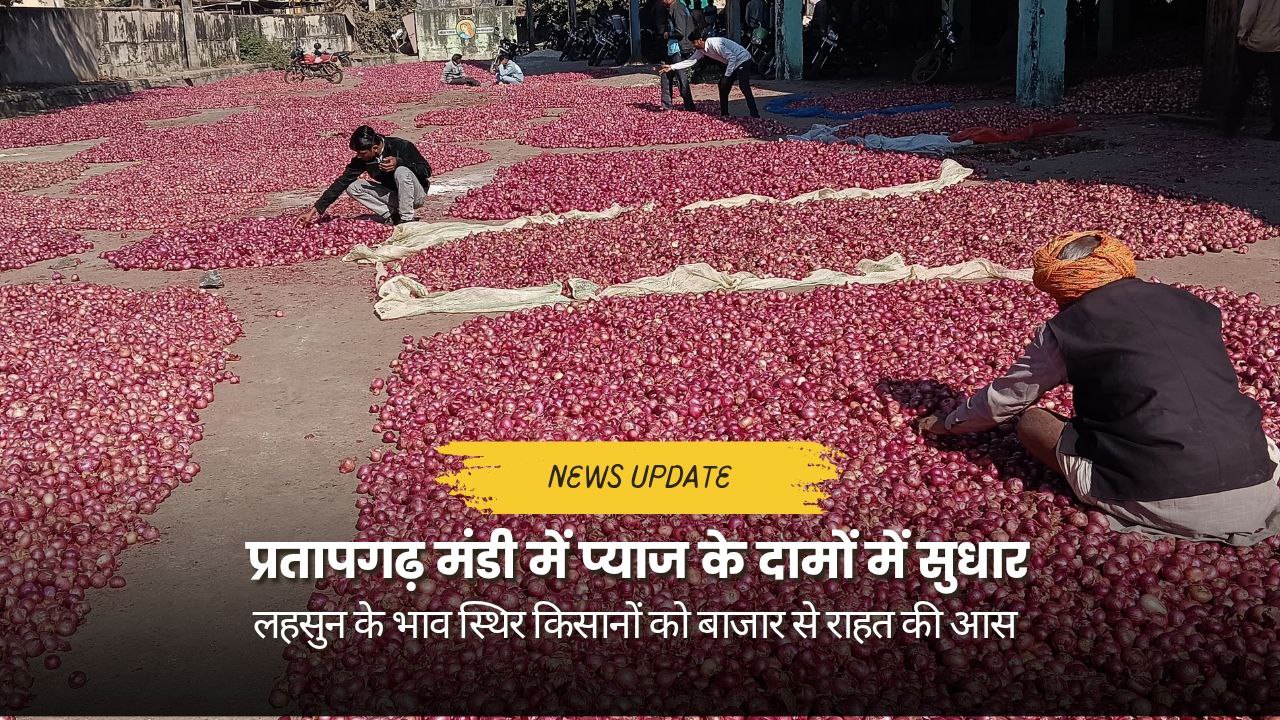 प्रतापगढ़ कृषि उपज मंडी में प्याज की नीलामी करते किसान और व्यापारी