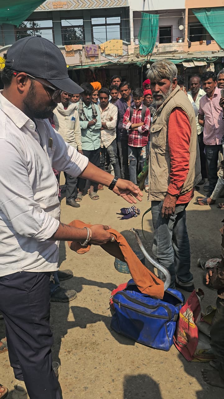 हाट चौक दलोट से जिंदा सांप छुड़ाते अधिकारी
